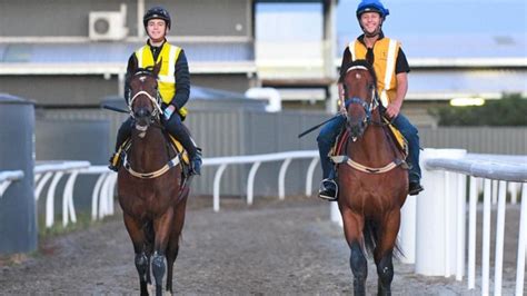 nsw trial replays